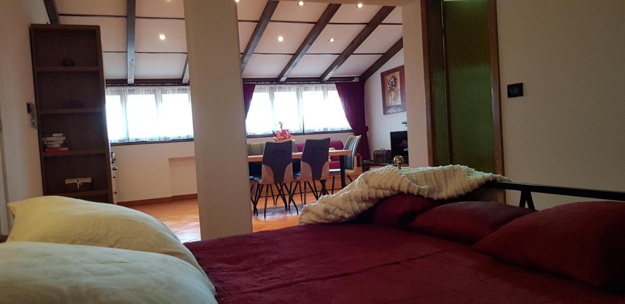 Apartment Apartmens Alenka