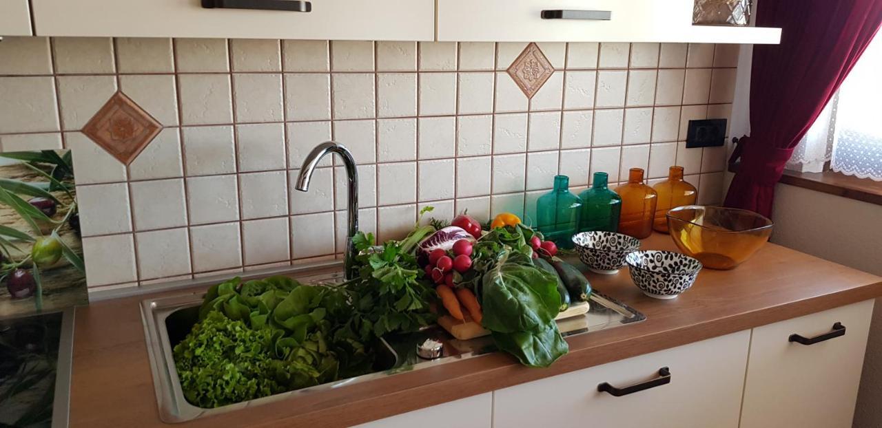 Apartmens Alenka *